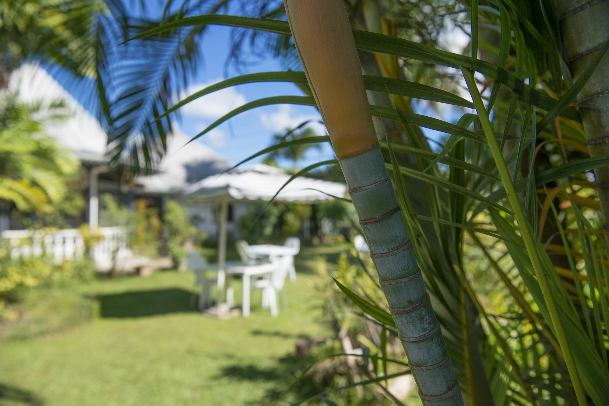 Auberge Chez Plume Anse Boileau Exterior foto