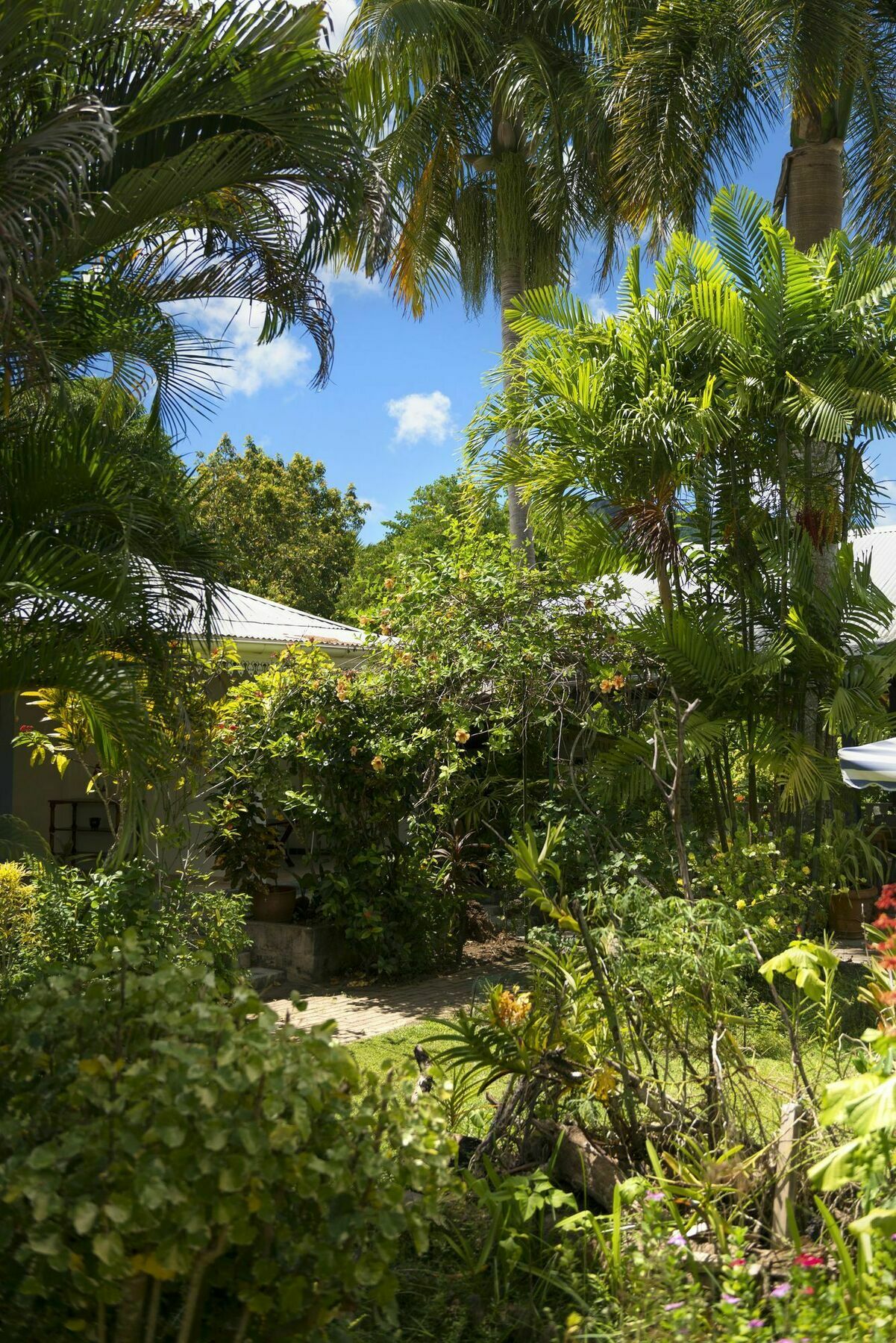 Auberge Chez Plume Anse Boileau Exterior foto